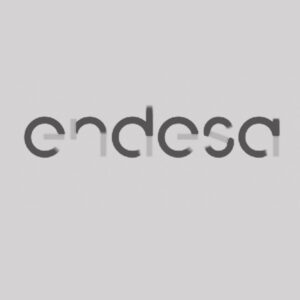 ENDESA ENDESA