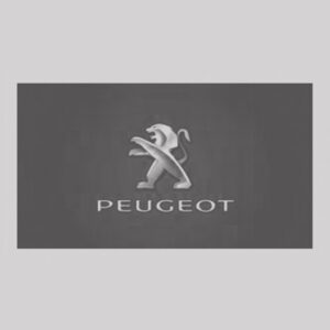 PEUGEOT PEUGEOT